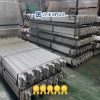 Steel Palisade Fencing | Factory Supplier